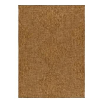 Barna kültéri szőnyeg 120x170 cm Guinea Natural – Universal kép