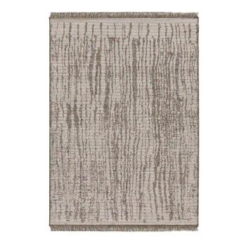 Bézs kültéri szőnyeg 130x190 cm Niya – Universal kép