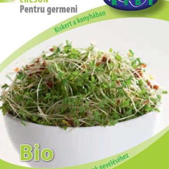Bio zsázsa mag csíráztatáshoz (Lepidum sativum) 30 g: kép