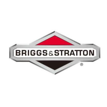 Briggs &amp; Stratton Légszűrő betét kép