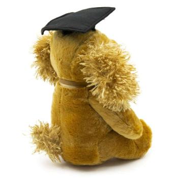 Diplomás hosszú fülű plüss kutya, 26 cm kép