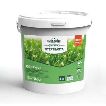 EUROGREEN Green up zöldítő gyeptrágya 5 kg (200-250m2) kép