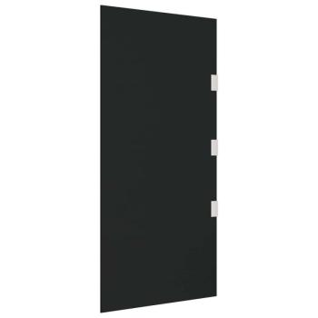 Fekete edzett üveg oldalpanel ajtóelőtetőhöz 50 x 100 cm kép