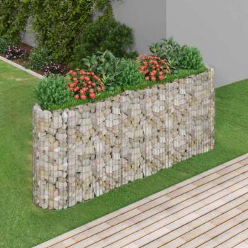 Horganyzott vas gabion magaságyás 260x50x100 cm kép