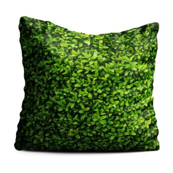 Ivy zöld díszpárna, 40 x 40 cm - Oyo home kép