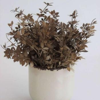 Krém gyöngyház színű kerámia virágcserép 14cm kép