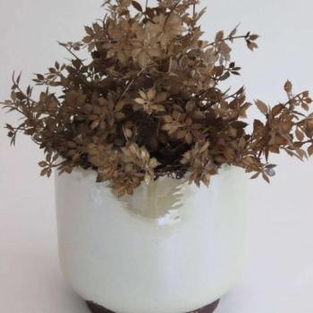 Krém gyöngyház színű kerámia virágcserép 24cm kép