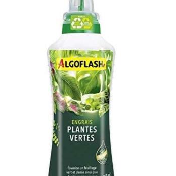 Műtrágya, AlgoFlash, Beltéri virágokhoz használt, 750 ml kép