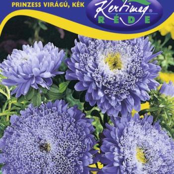 Őszirózsa Prinzess sötétkék virágú kék (Callistephus chinensis) 1 g kép