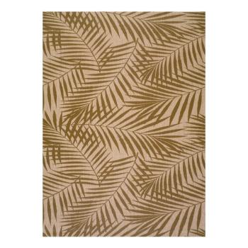 Palm barna-bézs kültéri szőnyeg, 140 x 200 cm - Universal kép