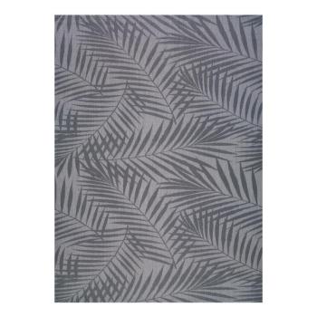 Palm szürke kültéri szőnyeg, 160 x 230 cm - Universal kép