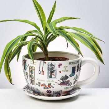 PLANT A CUP csésze alakú kaspó, kertész mintás kép