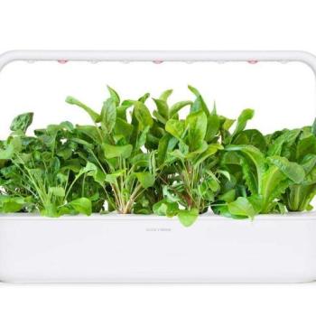Saláta zöldmix növénykapszula 9 db kép