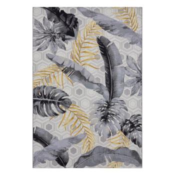 Sárga-szürke kültéri szőnyeg 240x340 cm Flair – Hanse Home kép