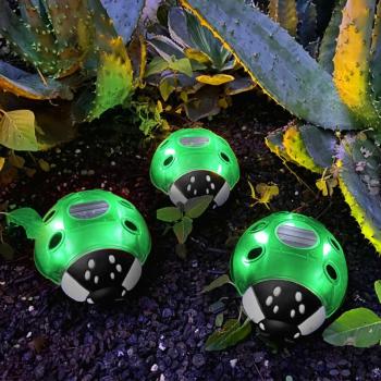 Szolár katicabogár - zöld - 14,5 x 12 x 6 cm - 6 melegfehér LED kép