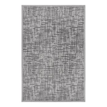 Szürke kültéri szőnyeg 115x170 cm Clyde Telu – Hanse Home kép