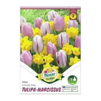 Tulipán - Nárcis - Tulipa Narcissus Trio &#039;LOVELY DAY&#039; 9 db/ csomag  kép