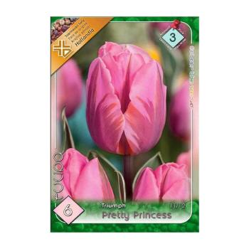 Tulipánhagyma triumph Pretty Princess/6 db /csomag kép